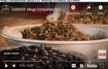 WARNING: CRICKETS IN OUR FOOD (Videos)