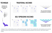 Scientists are working on vaccines that spread like a disease. What could possibly go wrong?