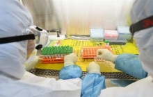 Shocking! US gave $3.7 million to China's Wuhan lab that conducted coronavirus tests on bats